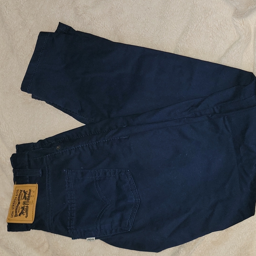 Levi Strauss & co Pant